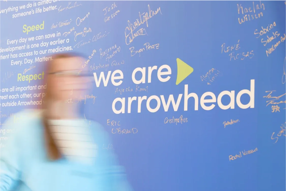 We are Arrowhead
